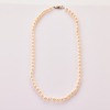 Vintage, 49cm Mikimoto Pearl Strand with Box and Paperwork, circa 1978 - 2