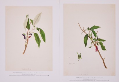 A Pair of Martha King Fuschia Reproduction Prints, Alexander Turnbull Library