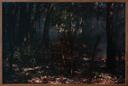 VIRGINIA WOODS-JACK Controlled Burn #002