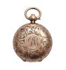 Rolled Gold Denison Sovereign Case - 2