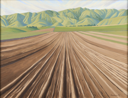 PETER MORIARTY Ploughed Field