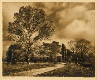 GEORGE CHANCE Autumn, South Canterbury