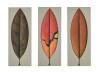 SUE BANCROFT Triptych Leaves