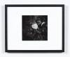 PETER PERYER Gone Home Series - 3