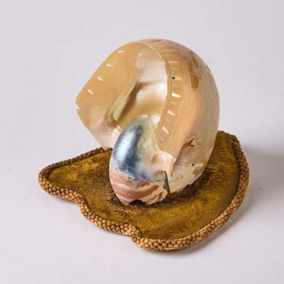 A Mounted Seashell with Ornate Incised Designs