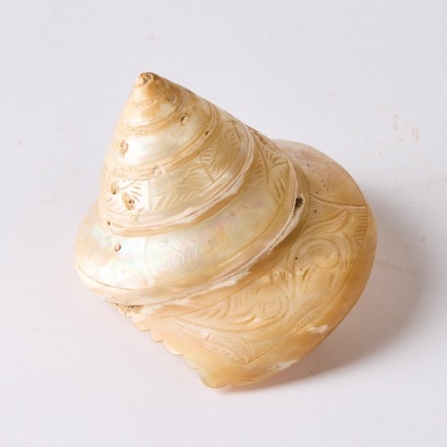 A Seashell with Incised Ornate Detailing