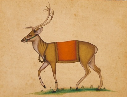 A Miniature Painting of a Deer, India