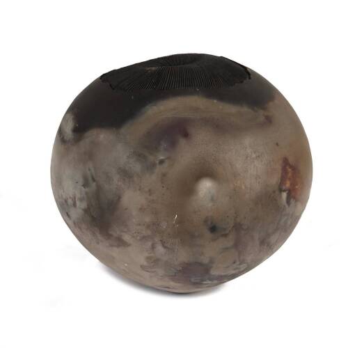 RAY ROGERS Fungoid Form