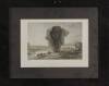 Four 19th Century&nbsp;Framed Colour Engravings of English Scenes - 2