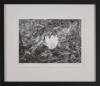 Five Framed Black and White Photographs - 3
