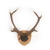 A Mounted Pair of 8 Point Deer Antlers
