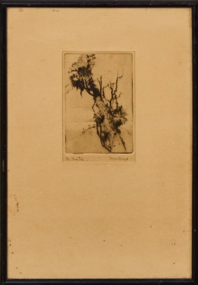 ARTIST UNKNOWN Tree Top