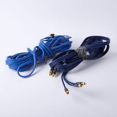 A Pair Of RCA Leads