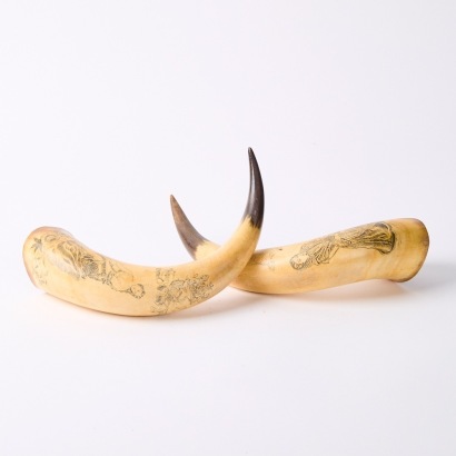 A Pair of Scrimshaw Horns