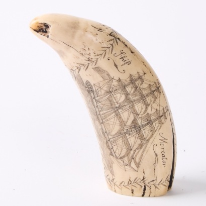 A Scrimshaw Whale's Tooth