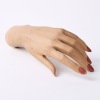 A Mannequin Ladie's Hand
