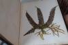 New Zealand Ferns Book with Mottled Kauri Cover - 2