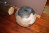 RAY ROGERS Fungoid Form - 2