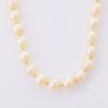 Vintage, 49cm Mikimoto Pearl Strand with Box and Paperwork, circa 1978