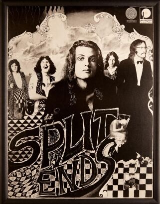 Split Ends Framed Poster (1973)