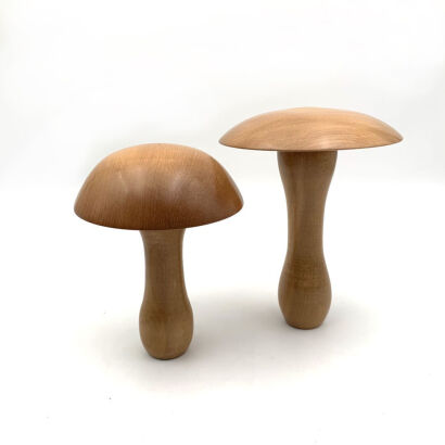 Two New Zealand Wood-crafted Mushrooms