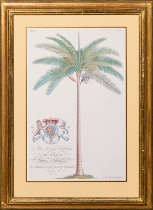 A Vintage Botanical Palm Print