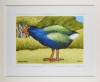 DON BINNEY Motutapu Takahe Release III - 2