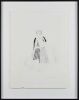 DAVID HOCKNEY untitled - 2
