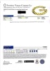 9ct Yellow Gold, 22cm Flat Curb Bracelet - 2