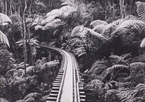 Barry Brickell's Driving Creek Railway, Circa 1980