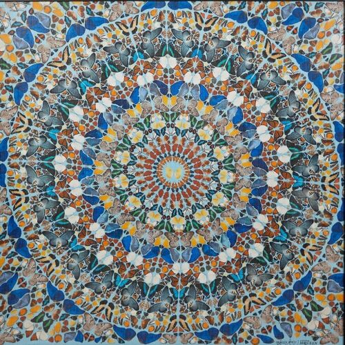 A Limited Edition Alexander McQueen & Damien Hirst Framed Scarf
