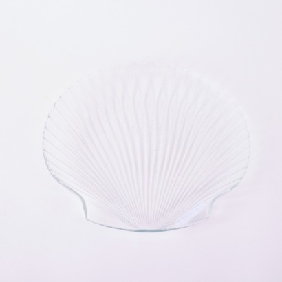 A Glass Shell Plate