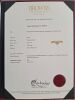 Browns Jeweller, 18ct Yellow Gold, "Protea Collection" 1.00ct Diamond Ring - 3