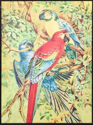 A Digital Print of Illustrated Parrots