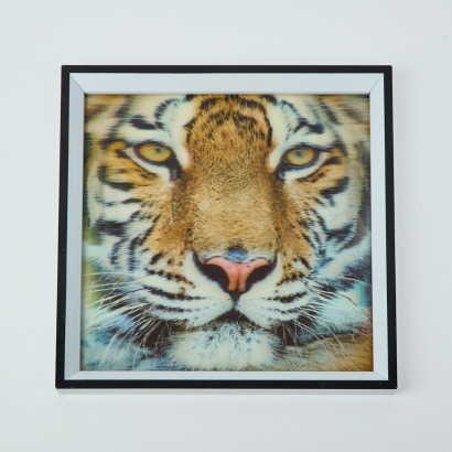 A Framed Tiger Hologram