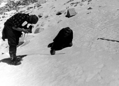 Desmond Doig and Marlin Perkins