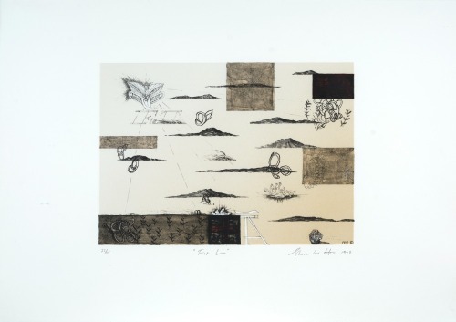 SHANE COTTON Fiat Lux