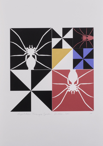 RICHARD KILLEEN Repetition Triangle Spider