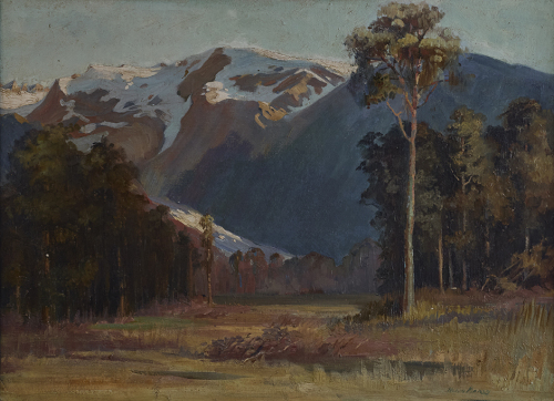NGAIO MARSH West Coast Scene